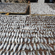 Image for article titled How Fish Guts Launched an International Empire